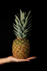 Image showing Big pineapple in a woman hand