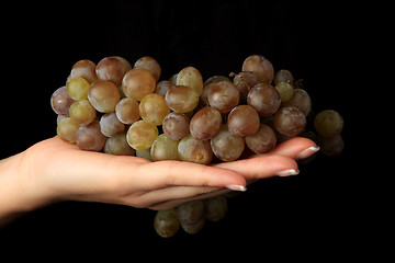 Image showing Grapes in a woman hand