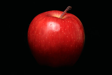 Image showing Red apple