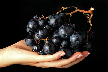 Image showing Grapes