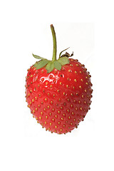 Image showing Strawberry