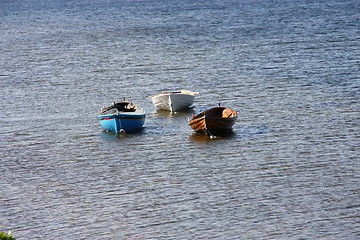 Image showing tree row boats