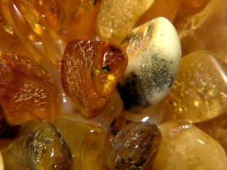 Image showing Amber