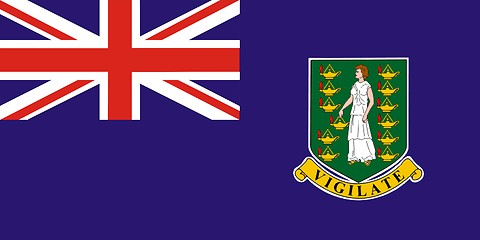 Image showing British Virgin Islands Flag