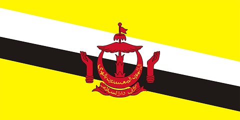 Image showing Brunei Flag