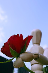 Image showing holding a red rose  for a loved one