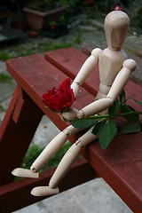 Image showing red rose  for a loved one closeup