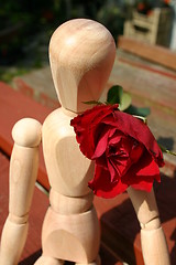 Image showing wearing a red rose  