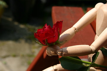 Image showing holding a red rose  for a loved one