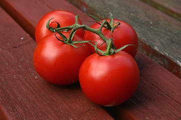 Image showing vine tomatoes