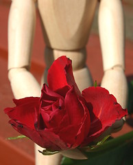 Image showing red rose  for a loved one closeup