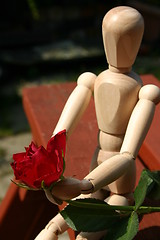 Image showing holding a red rose  for a loved one