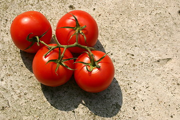Image showing vine tomatoes