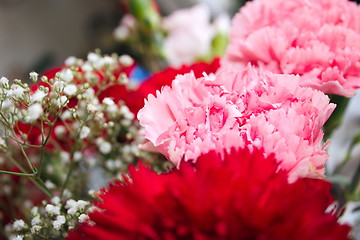 Image showing pink and red carnations