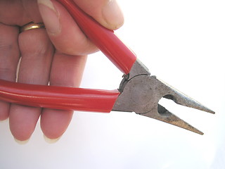 Image showing pliers 