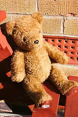 Image showing old teddy