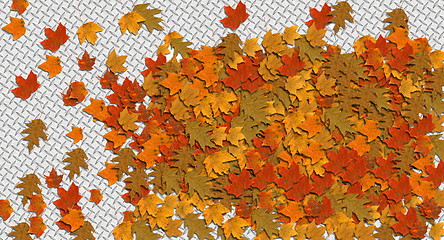 Image showing autumn leaves