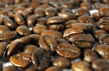 Image showing Coffee