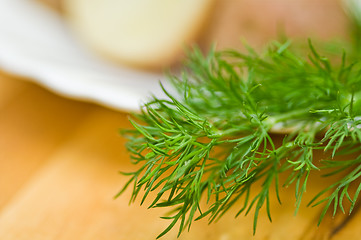 Image showing Potatoes, salt cucumber and dill still-life.  