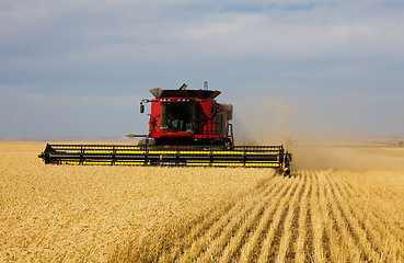 Image showing Fall Harvest