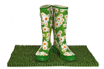 Image showing Rubber boots