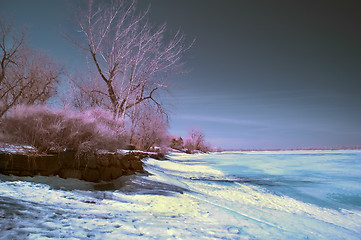 Image showing Infrared Landscape