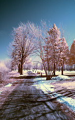 Image showing Infrared Landscape