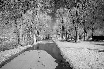 Image showing Infrared Landscape