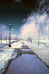 Image showing Infrared Landscape