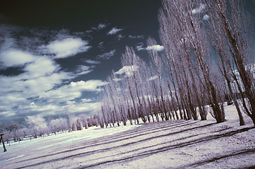 Image showing Infrared Landscape