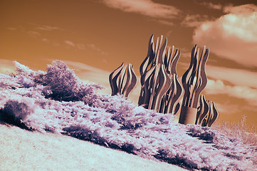 Image showing Infrared Landscape