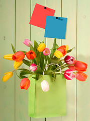 Image showing tulips