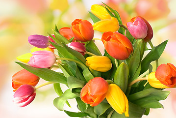 Image showing tulips