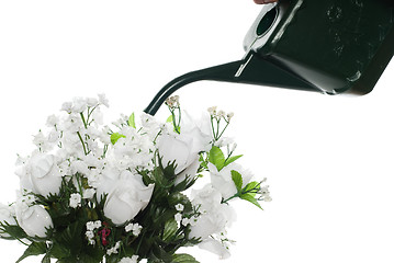 Image showing Watering Artificial Roses