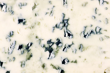 Image showing Blue cheese texture