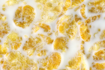 Image showing Cereal