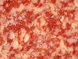 Image showing Salami Texture