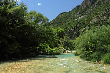 Image showing summer landscape 