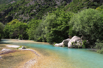 Image showing summer landscape 