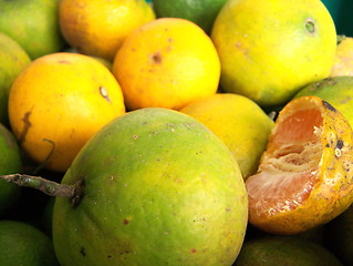 Image showing Oranges ripe