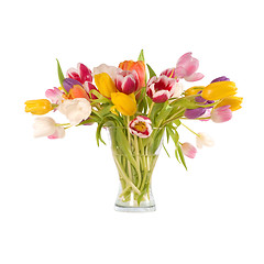 Image showing tulips