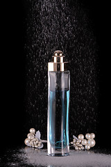 Image showing Perfume bottle