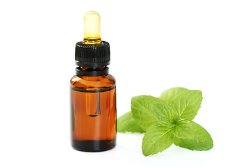 Image showing peppermint oil