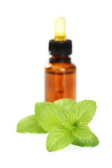 Image showing peppermint oil