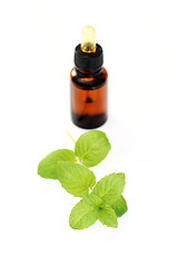 Image showing peppermint oil