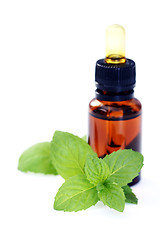 Image showing peppermint oil