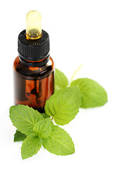 Image showing peppermint oil