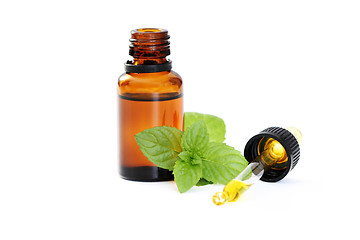 Image showing peppermint oil