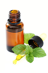 Image showing peppermint oil