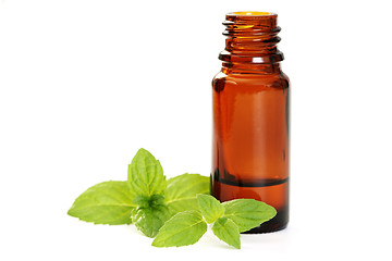 Image showing peppermint oil